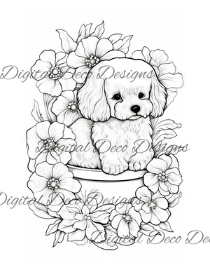 Flowers Color -N-Craft Pages (Digital Bundle) (Exclusive Members Design)-Digital Deco Designs