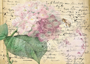 Bee A Hydrangea (Prints Perks) (#A018)-Decoupage Paper