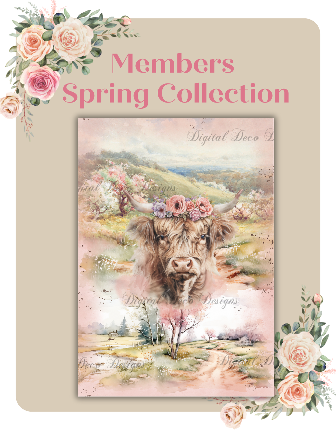 Members Spring Collection