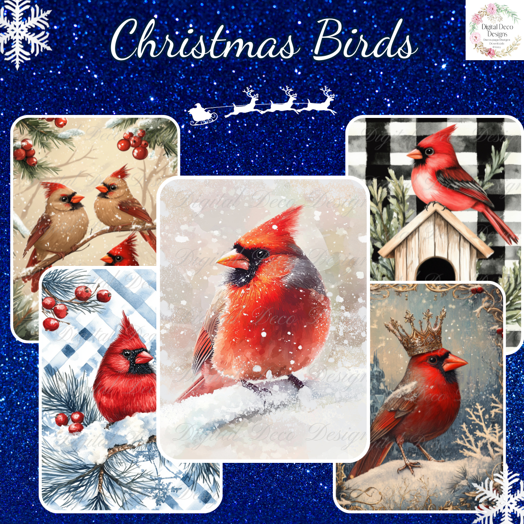 Build Your Own Christmas Birds Bundle-BYOB-Decoupage Paper