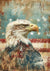 American Grunge Bald Eagle 2 A3 Sized (Print Only) (#F068)