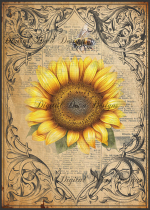 Sunflower Bundle 1