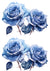 Blue Rose Bouquet Combo Duo 1 (#A044)