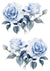 Blue Rose Bouquet Combo Duo 2 (#A045)