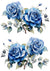 Blue Rose Bouquet Combo Duo 3 (#A046)