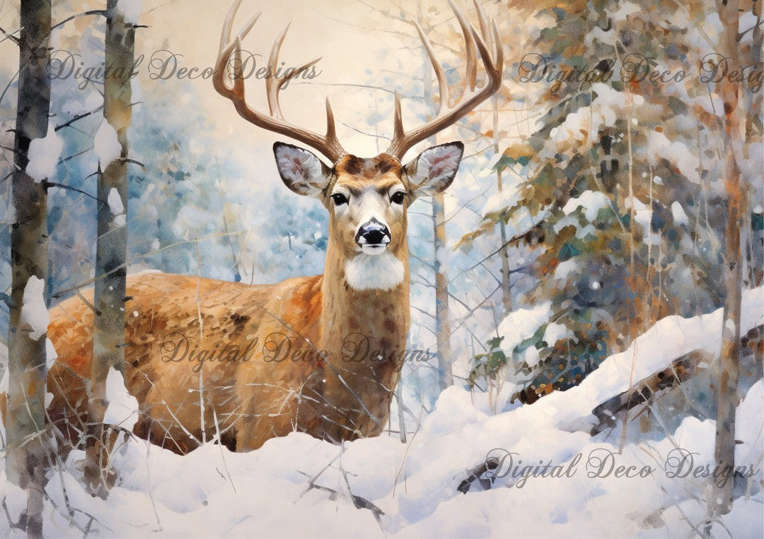 Still Wintry Woodland Buck 1 (#E031)-Decoupage Paper