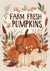 Farm Fresh Pumpkins (#I086)-Decoupage Paper