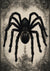 Hello Halloween Spider 2 (#I013)-Decoupage Paper