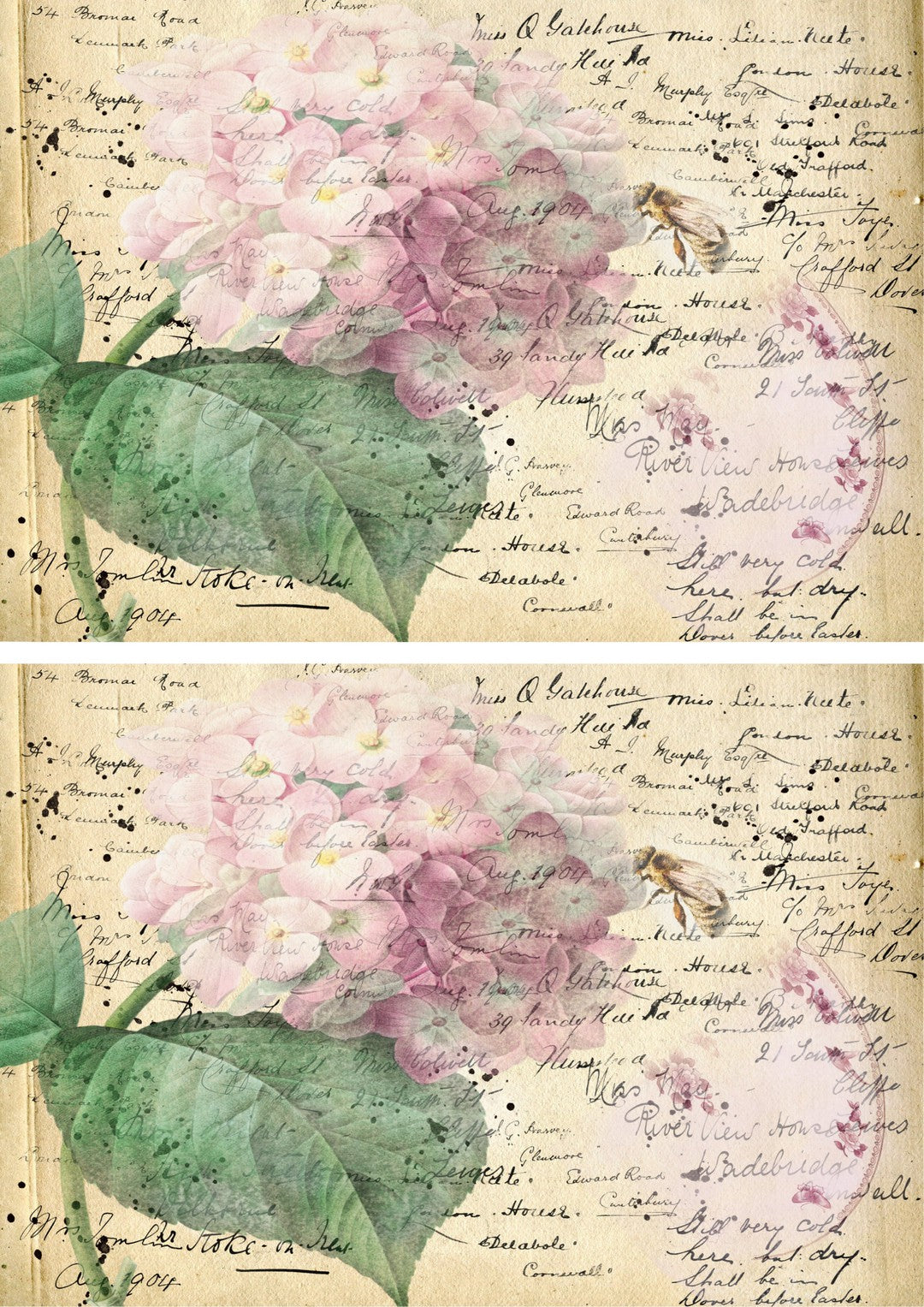 Bee a Hydrangea Double Duo Combo Sheet (#A019)-Digital Deco Designs