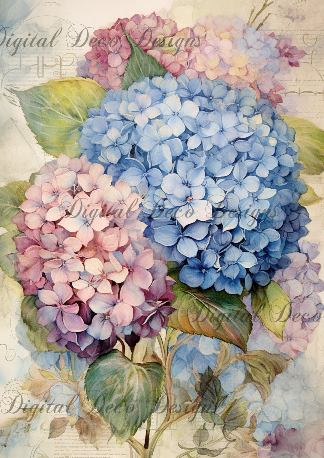 Hydrangea Garden 1 (#C018)-Digital Deco Designs