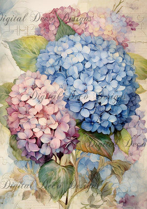 Hydrangea Garden 1 (#C018)-Decoupage Paper