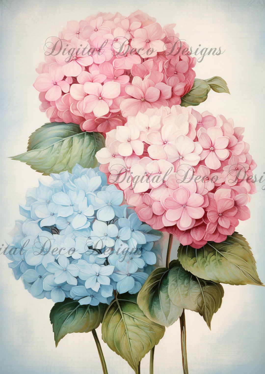 Hydrangea Garden 2 (#C019)-Digital Deco Designs