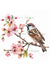 Pink Sparrows 1 (Exclusive Members Design) (#G050)-Decoupage Paper