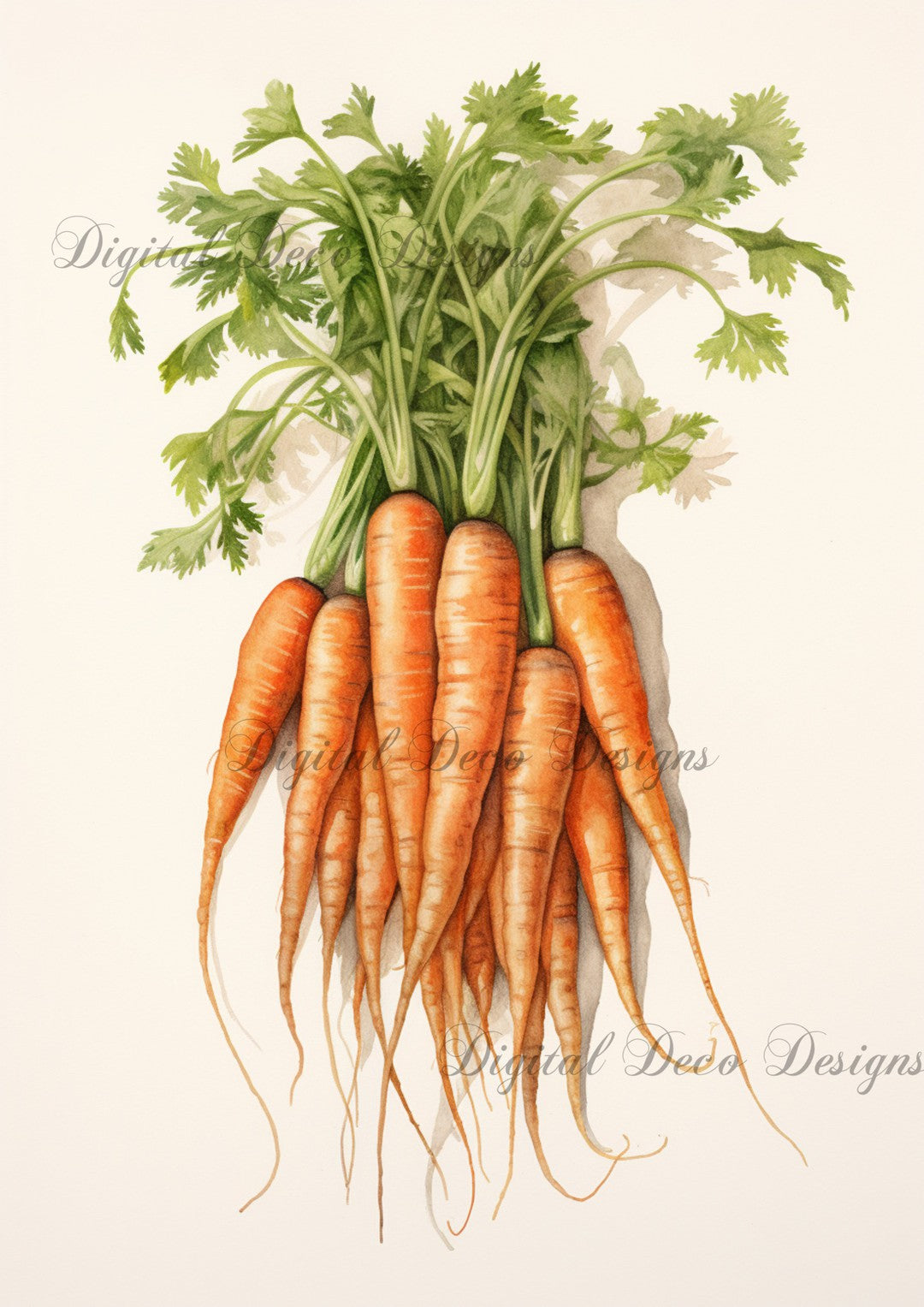 Vintage Watercolor Carrots 2 (#E098)-Digital Deco Designs