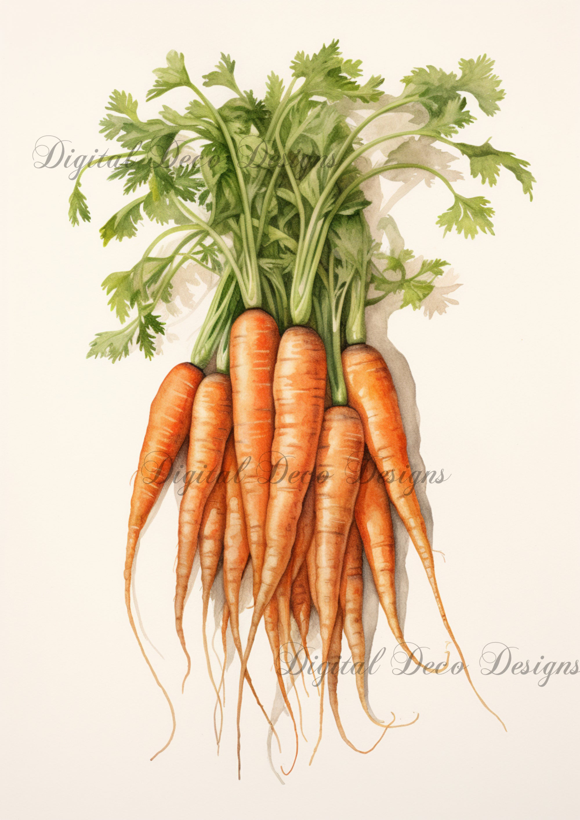 Vintage Watercolor Carrots 2 (#E098)