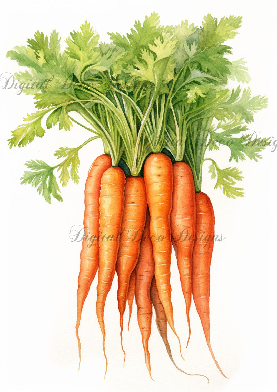 Vintage Watercolor Carrots 3 (#E099)-Digital Deco Designs