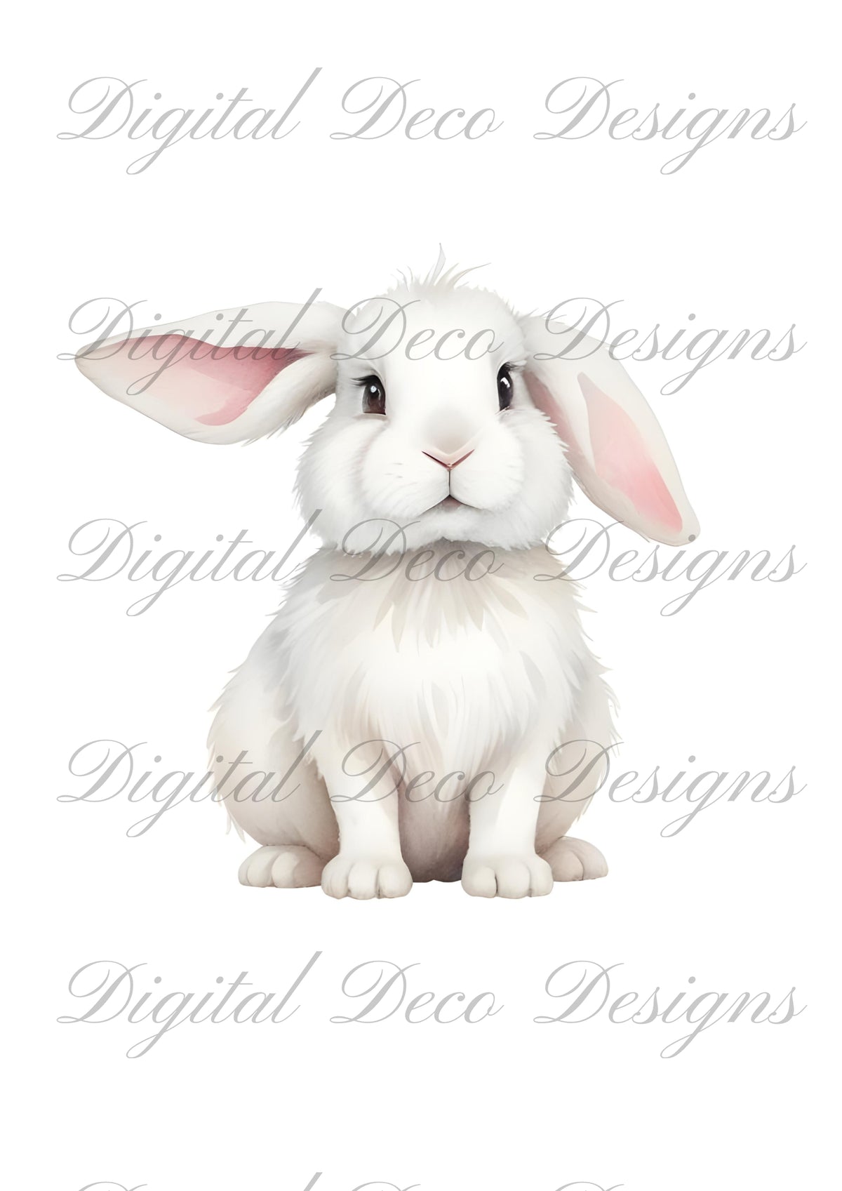 Fluff Bunny Wall Art N021-Digital Deco Designs