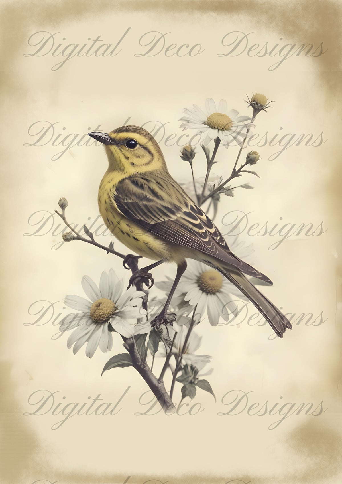 Vintage Spring Wall Art Bird M079-Digital Deco Designs