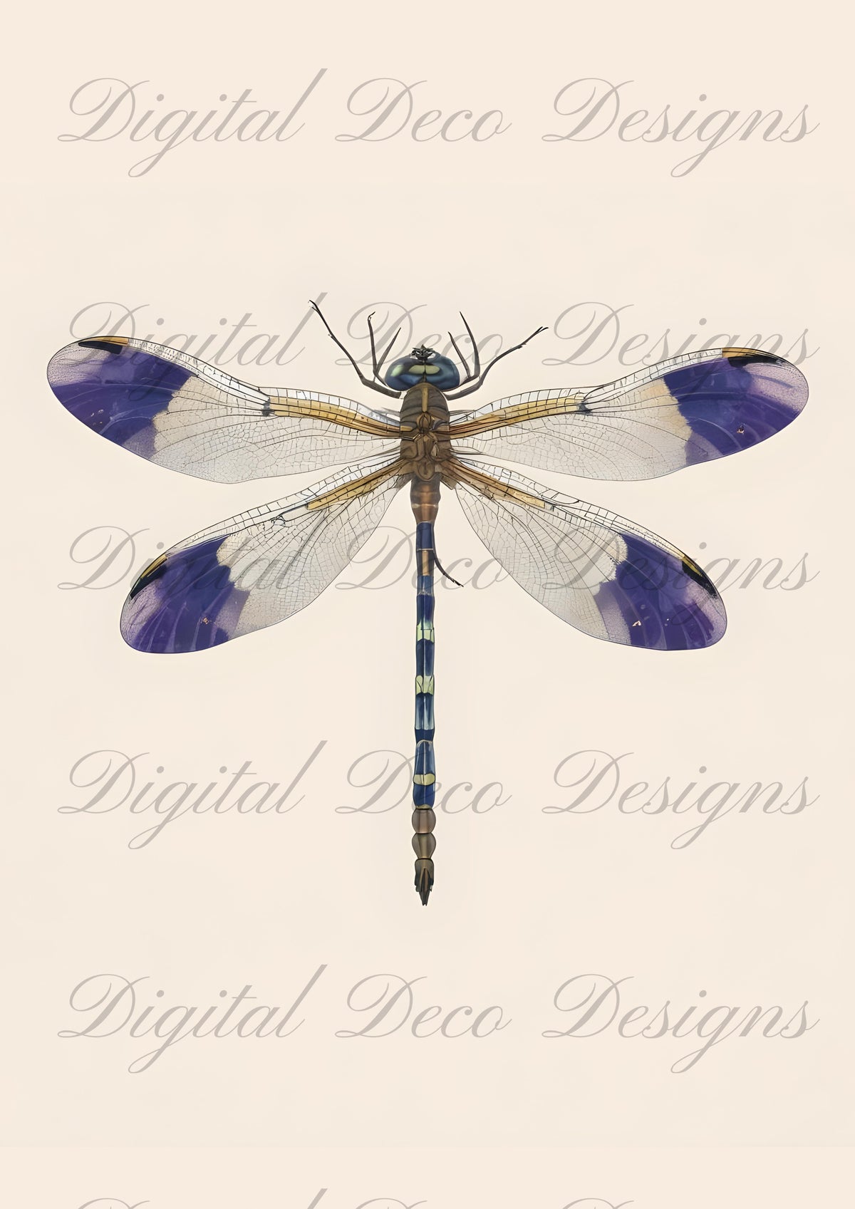Vintage Spring Wall Art Dragonfly M074-Digital Deco Designs