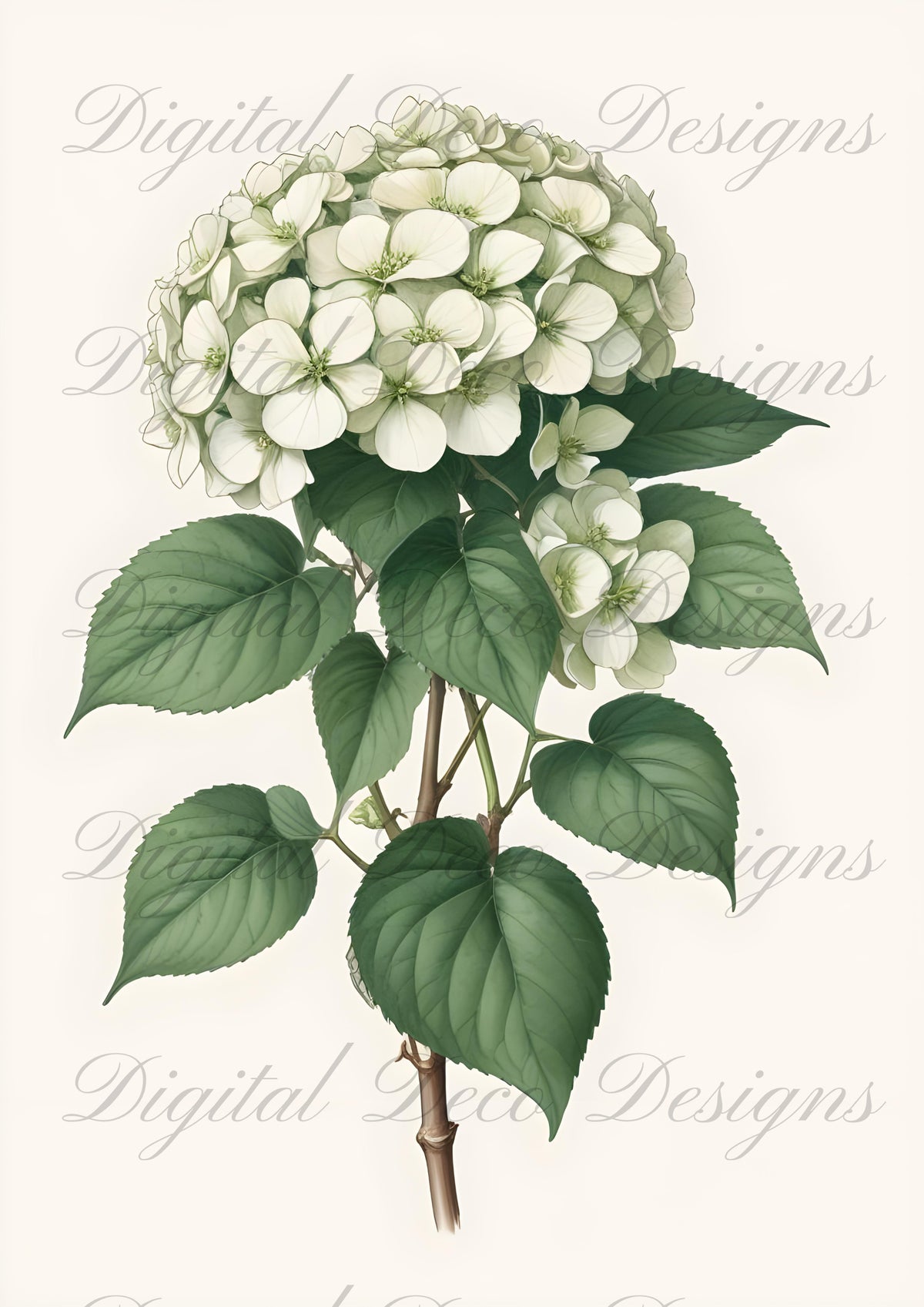 Vintage Spring Wall Art Hydrangea M082-Digital Deco Designs