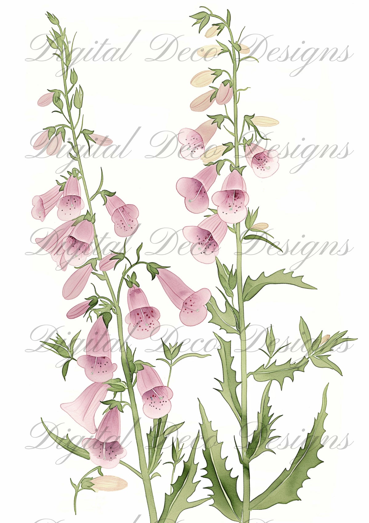 Wall Art Florals M041-Digital Deco Designs