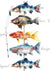 Watercolor Fish (#F097)