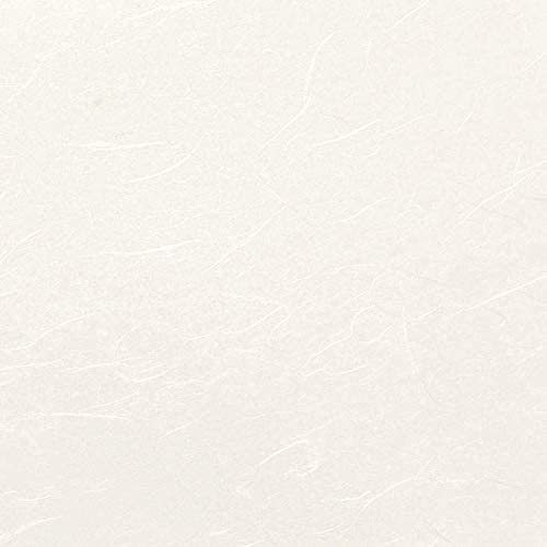 Hanji Printer Paper A4, 80gsm, Korean Traditional Mulberry Copy Paper, 100 Sheets, Premium Quality Copy Printer Paper, 8.3x11.7 Inches (White)-Decoupage Paper