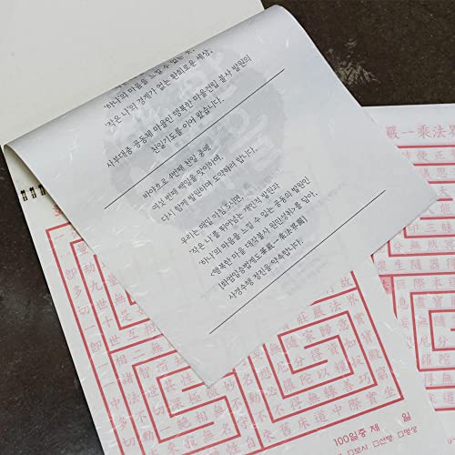 [100 Sheets] Yeonmu-ji/White Light-Weight Thin Hanji A4 with Natural Fiber Texture for Copy, Calligraphy, Drawing, Printing/Korean Traditional Mulberry Paper / 8.3x11.7 inch, 48gsm (White)-Decoupage Paper