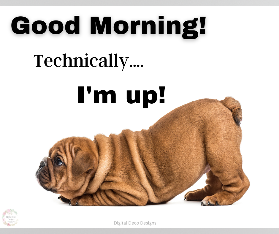 Good Morning Rude Adorable Pug Good Morning Meme - Digital Deco Designs