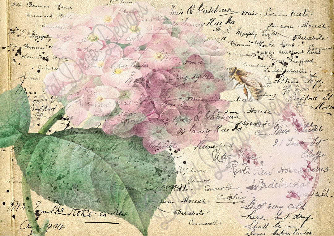 Bee A Hydrangea (Prints Perks) (#A018)-Decoupage Paper
