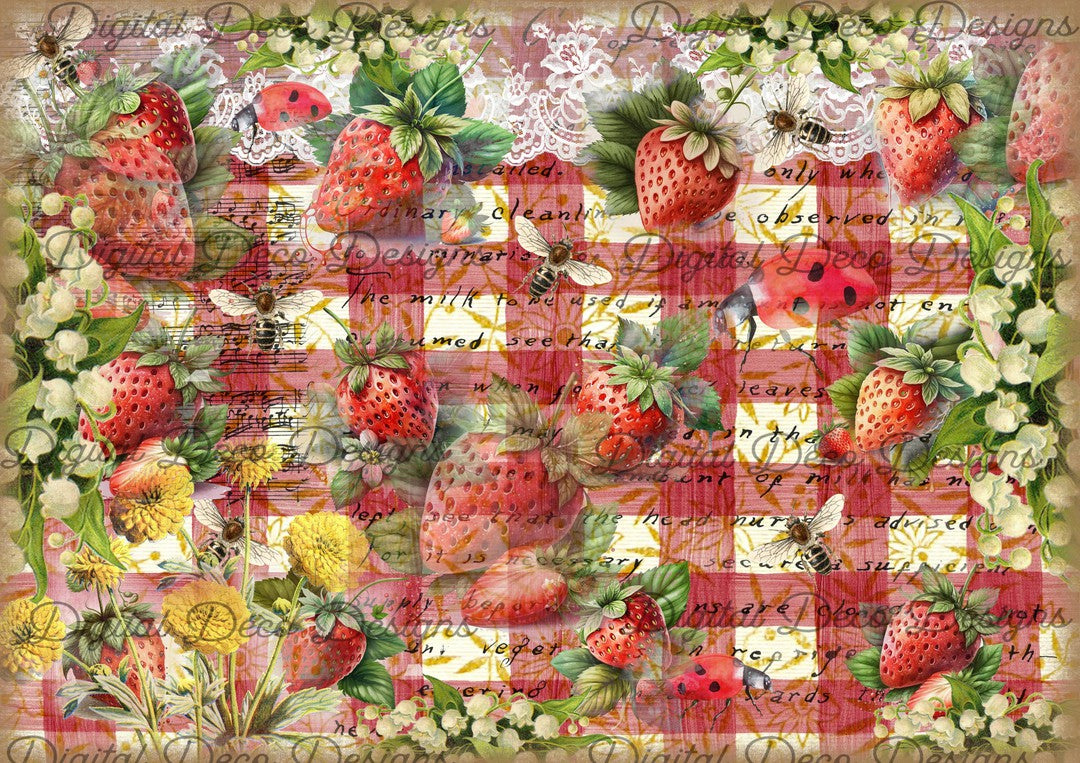 Strawberry Picnic (#E040)-Digital Deco Designs