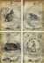 Vintage Bunny Art 4 Collage Sheet 2 (#E079)